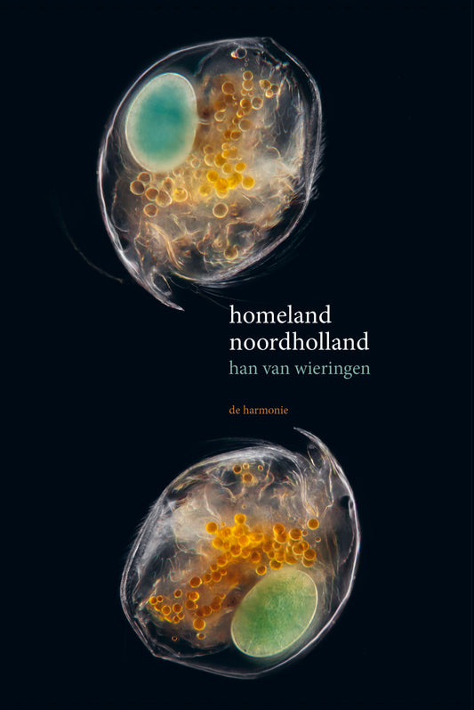 Homeland Noordholland