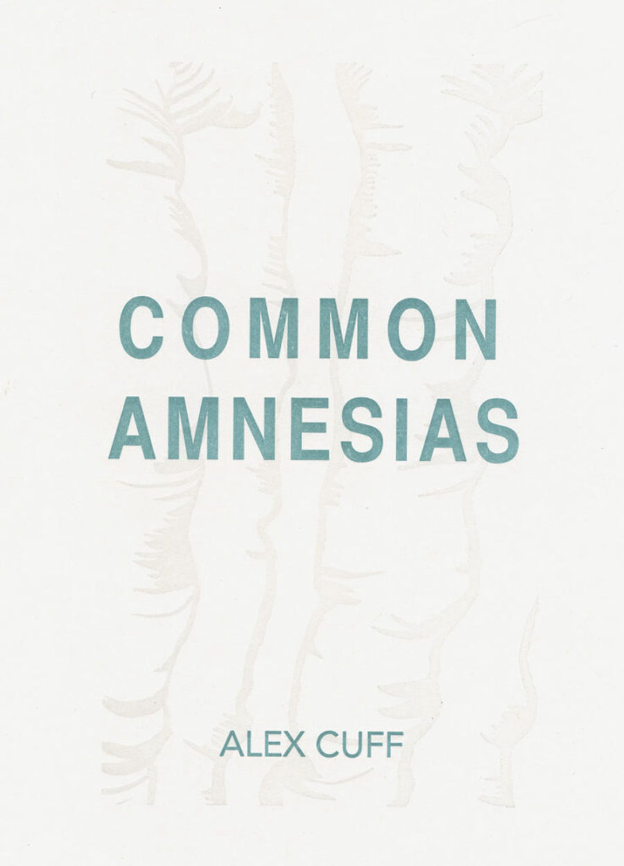 Common Amnesias