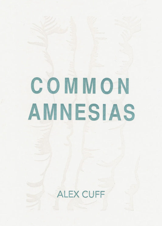 Common Amnesias