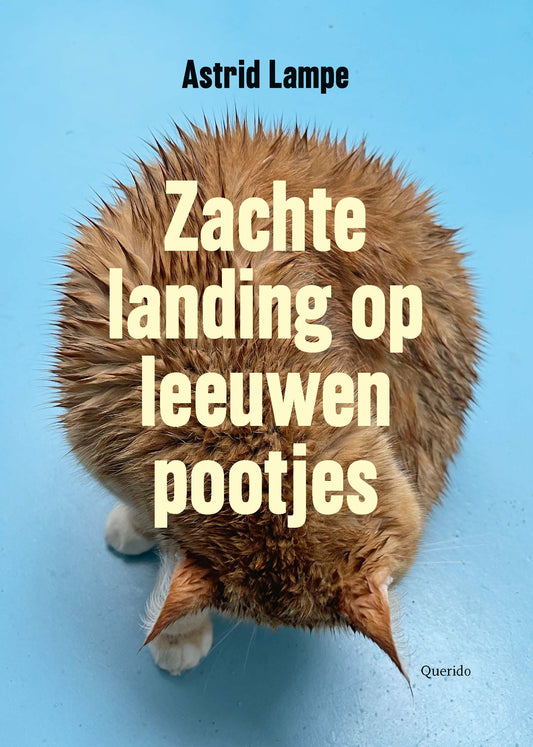 Zachte landing op leeuwenpootjes