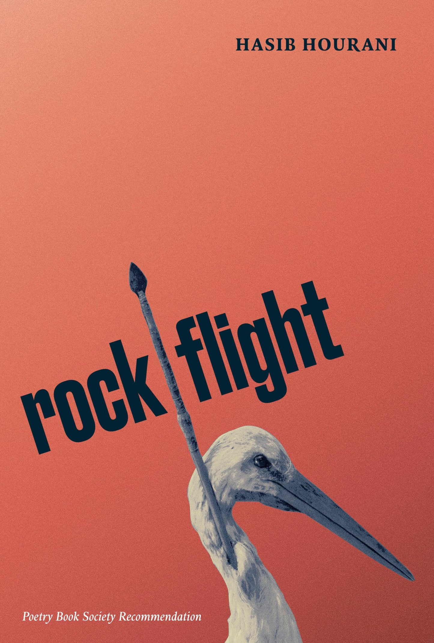 rock flight